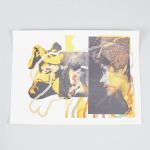 1637 4009 Grafiskt blad
